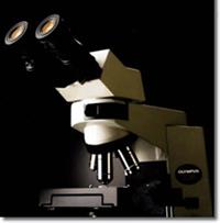 双目生物显微镜  光学生物显微镜  双目生物显微分析仪